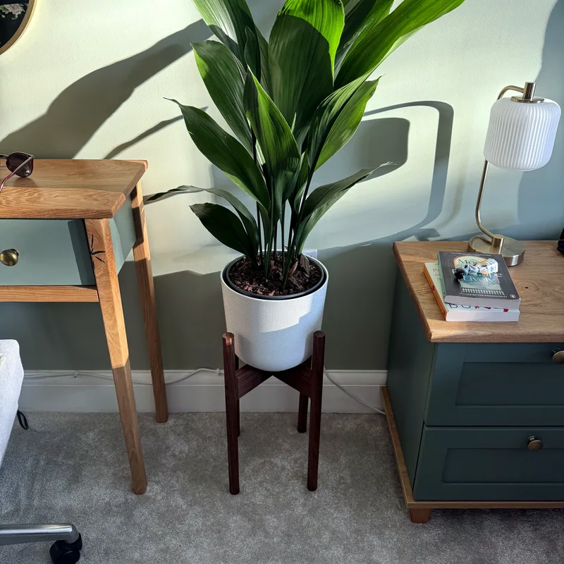 Plant Stand, main view